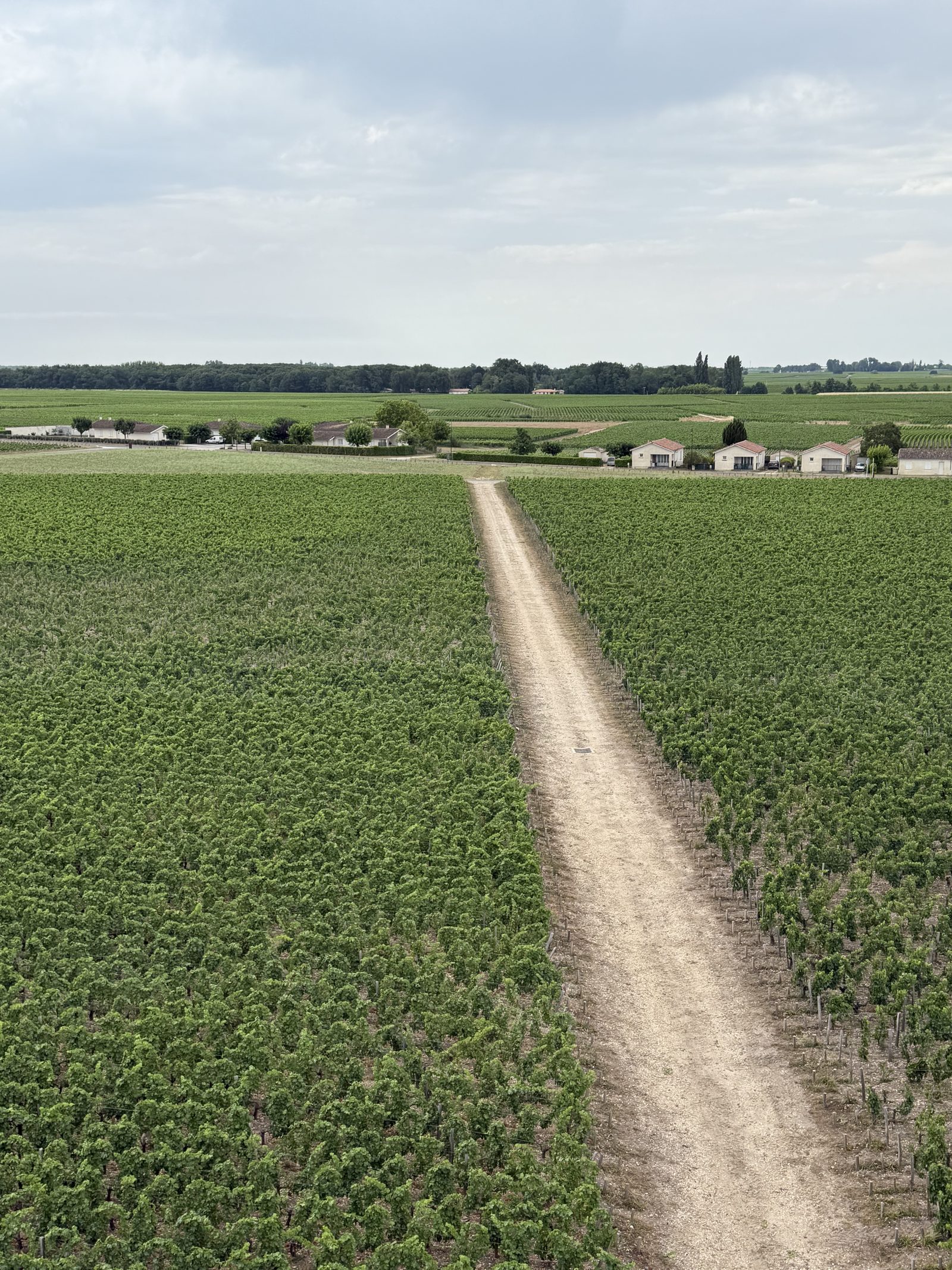 Bordeaux · No. 03 — Wine Country, France