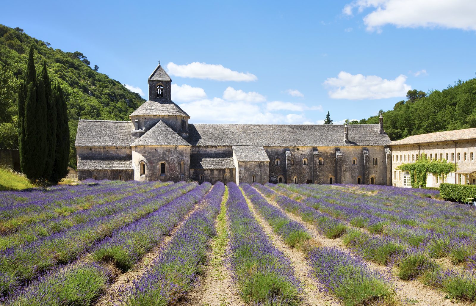 Provence · No. 05 — The Lavender Coast, France