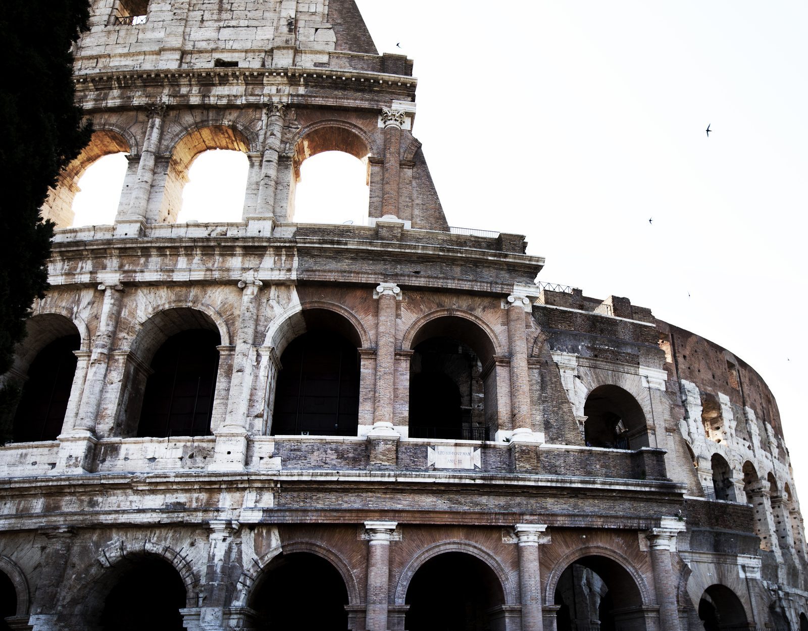 Cover of Roma