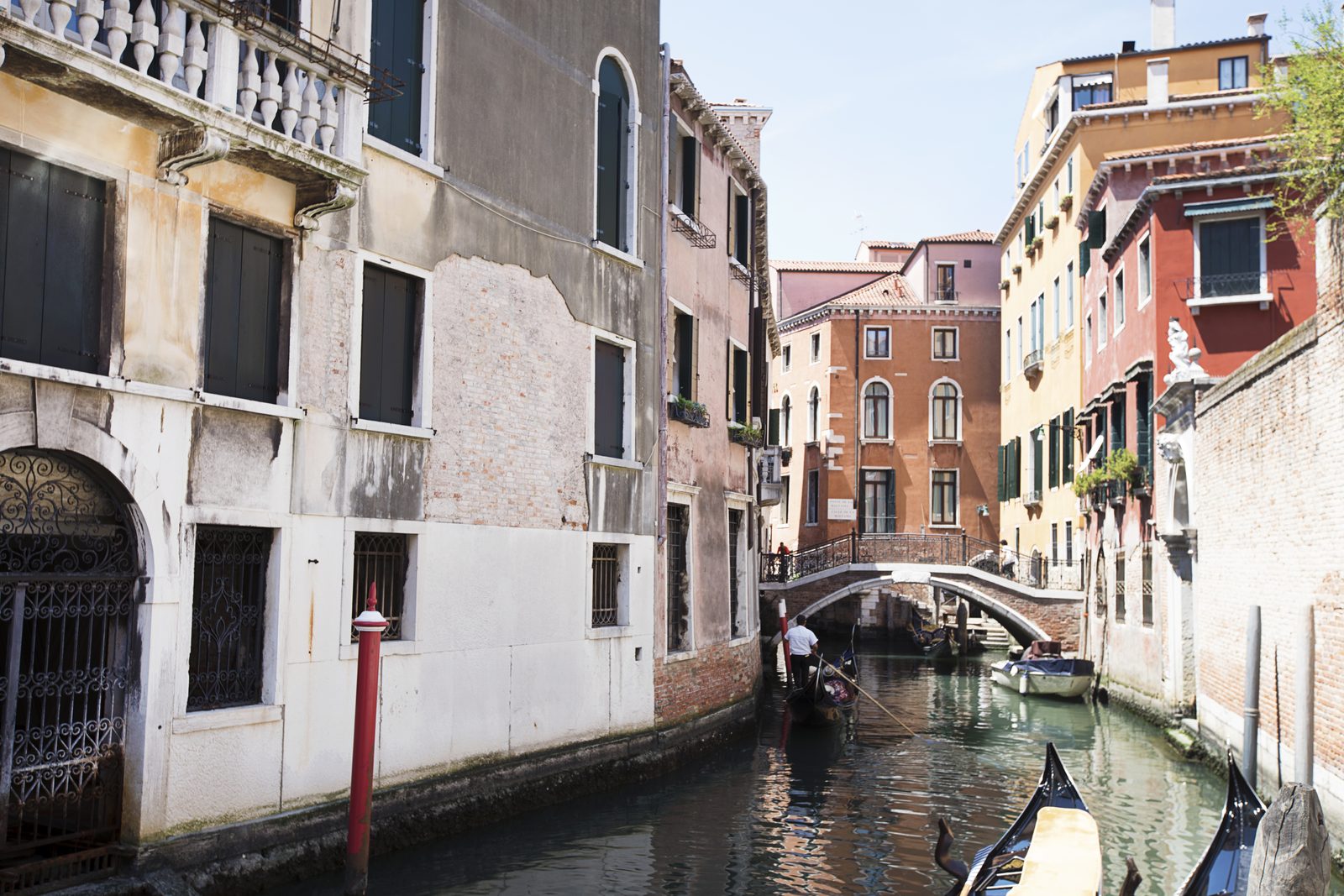 Cover of Venezia